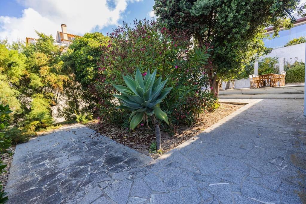 Challet Ericeira Villa Екстериор снимка