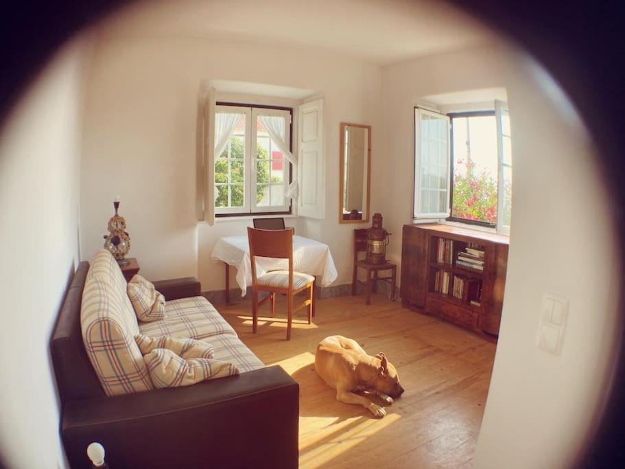 Challet Ericeira Villa Екстериор снимка