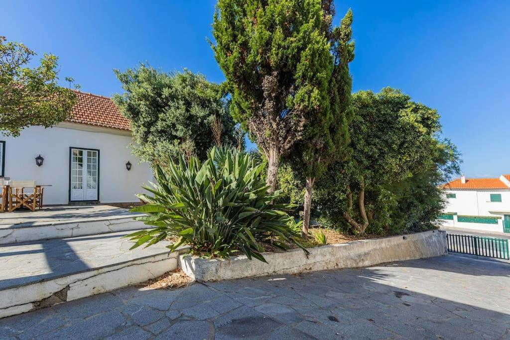 Challet Ericeira Villa Екстериор снимка